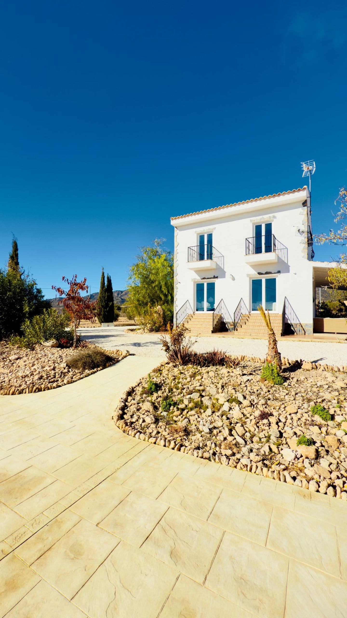 w_img-20251210-wa0018