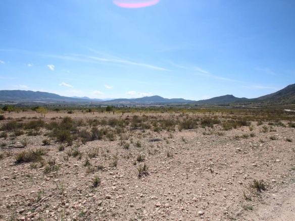 Grundstück in Torre Del Rico (Murcia)