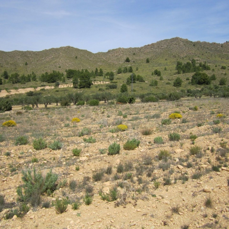 Grundstück in Yecla (Murcia)