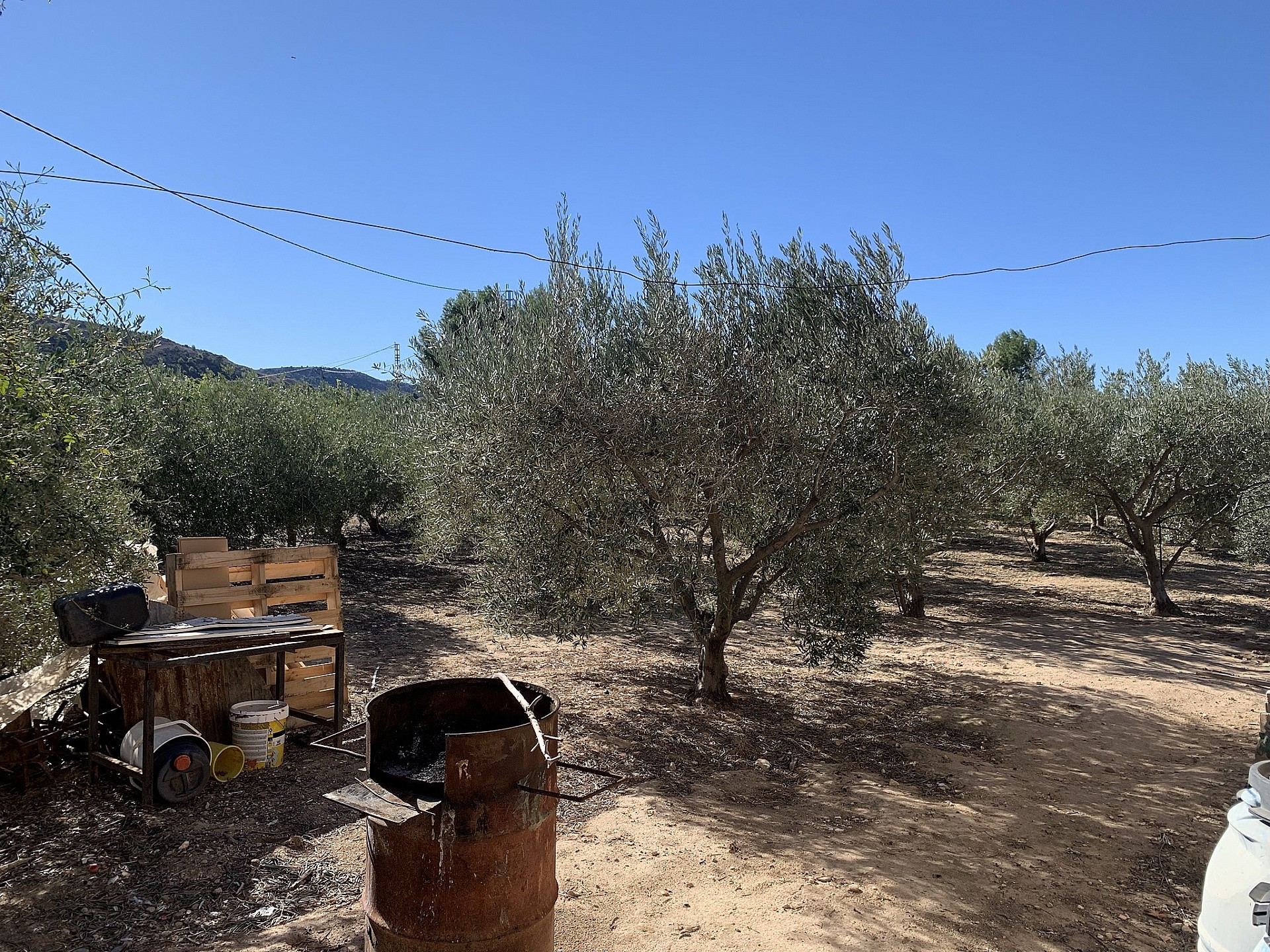 w_ipmdtcdsexxhyhbezj43