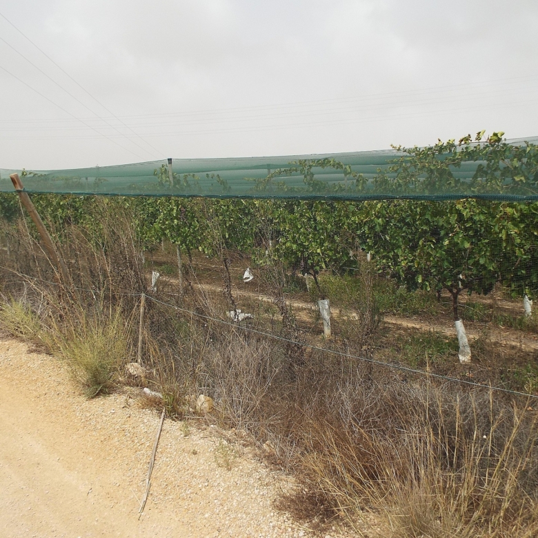 Grundstück in Monforte Del Cid (Alicante)