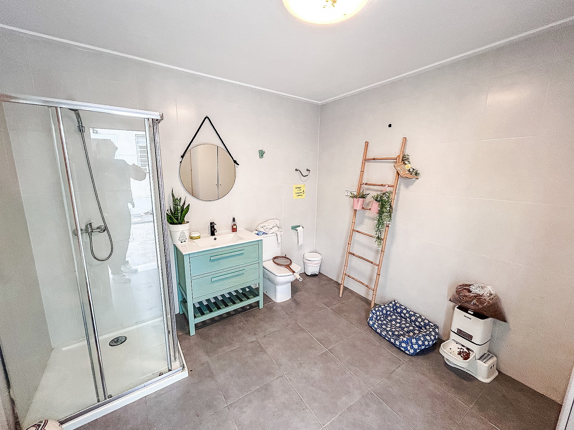 w_jj3qr36w5apgiv38aon8