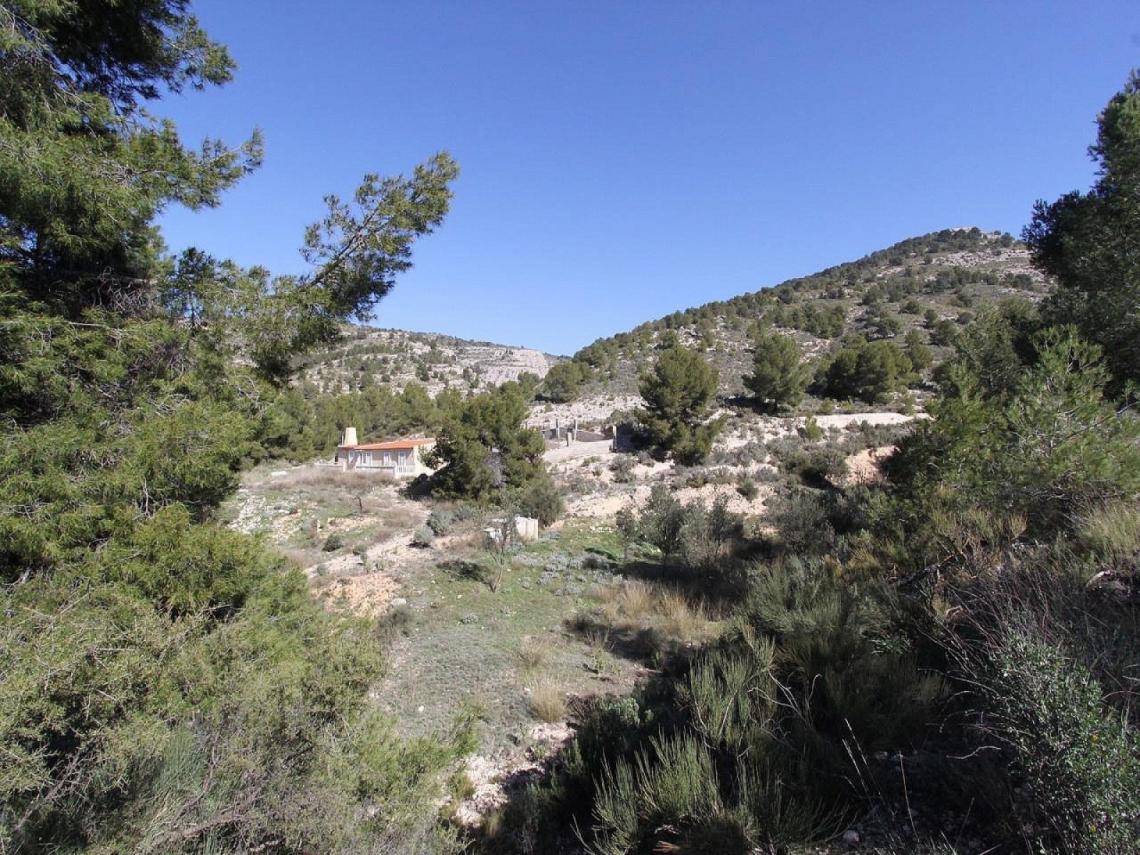 w_jj7yh4r0jtaqc6k4ab0v