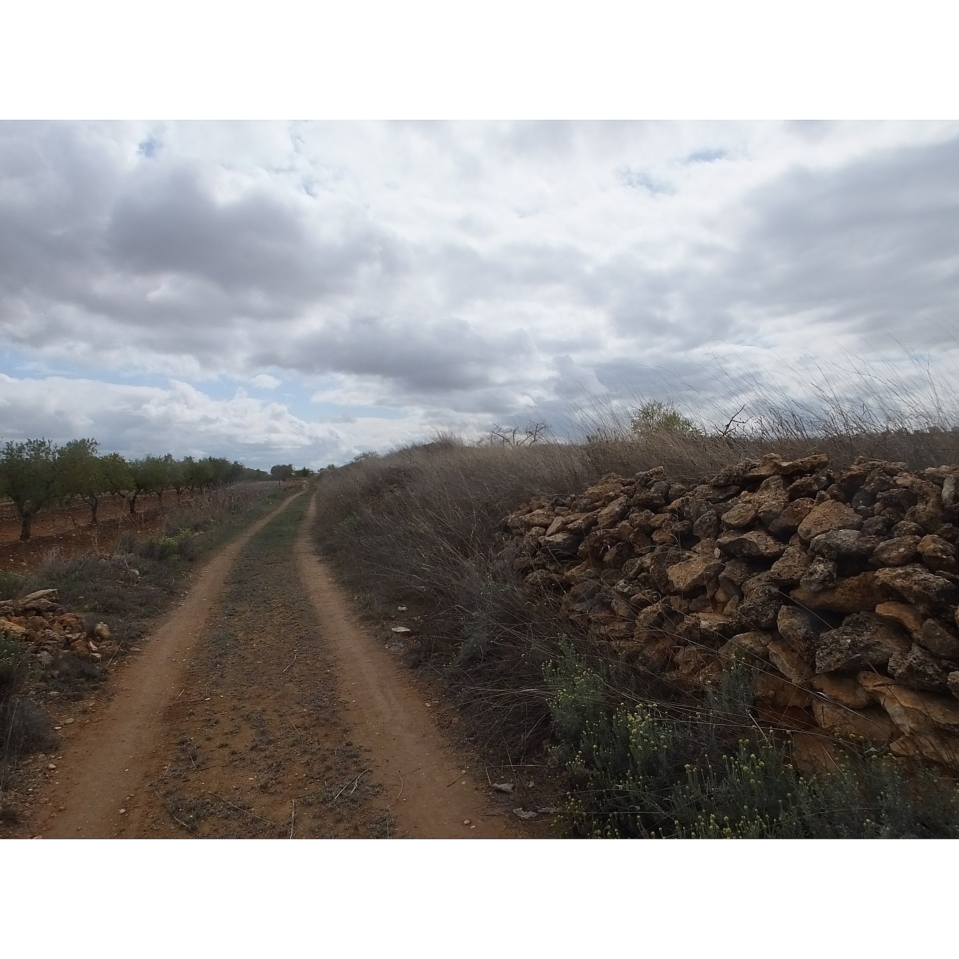 w_jnpftibjhcaxoo33ydzs