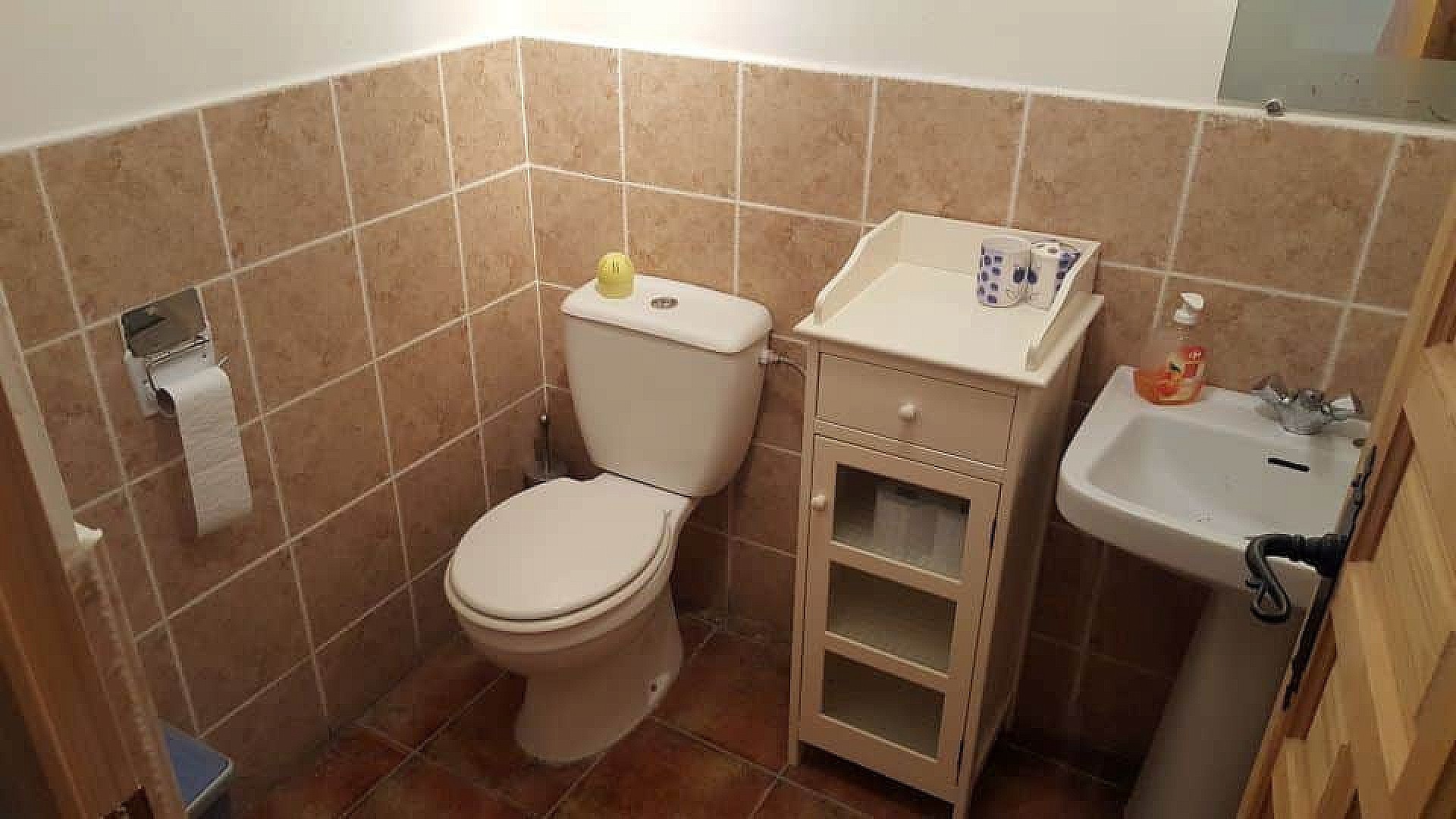 w_k4bonjfp572543s4ro8p