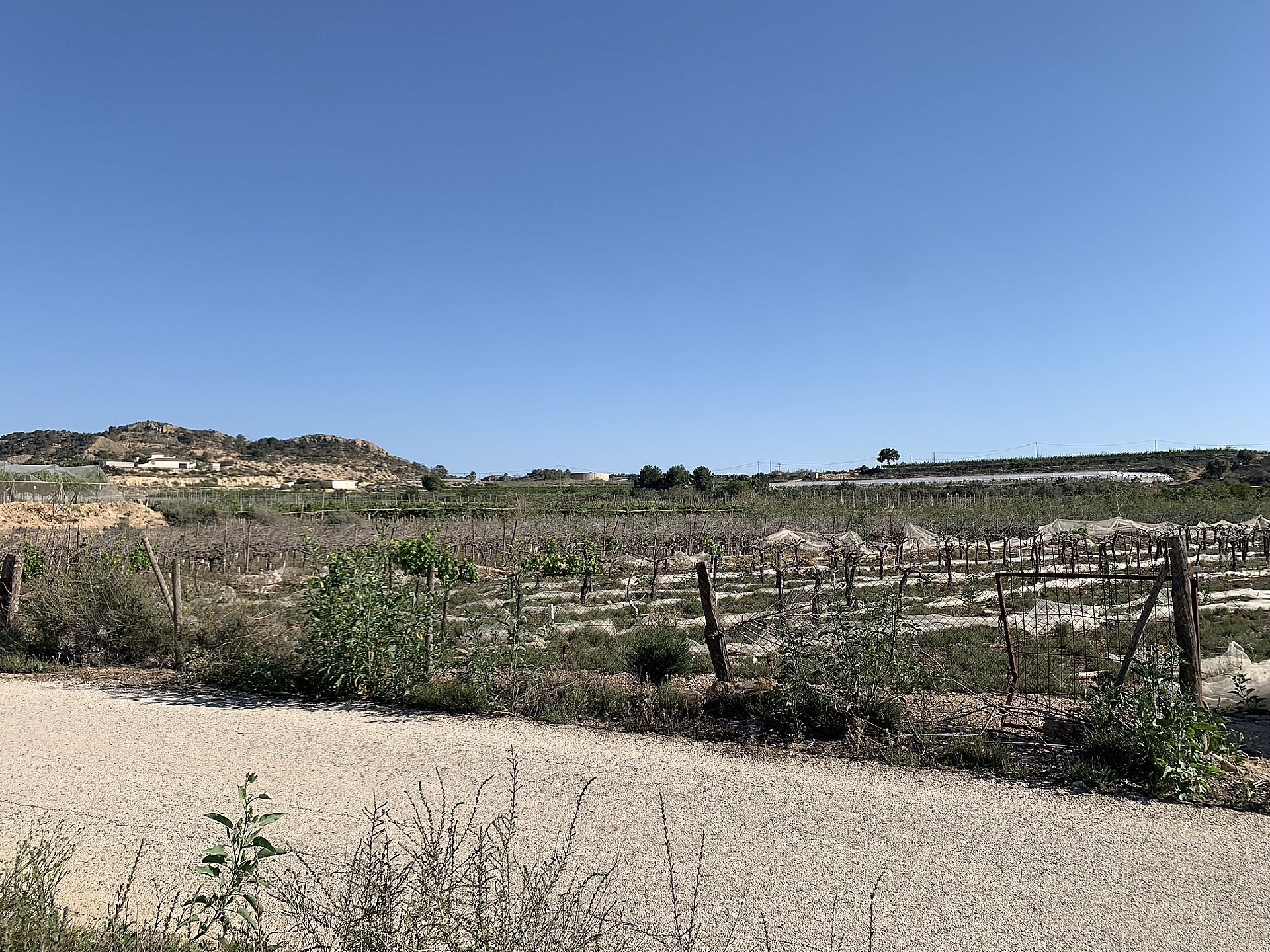 w_kaz8pryvpgmsv2hjf26t