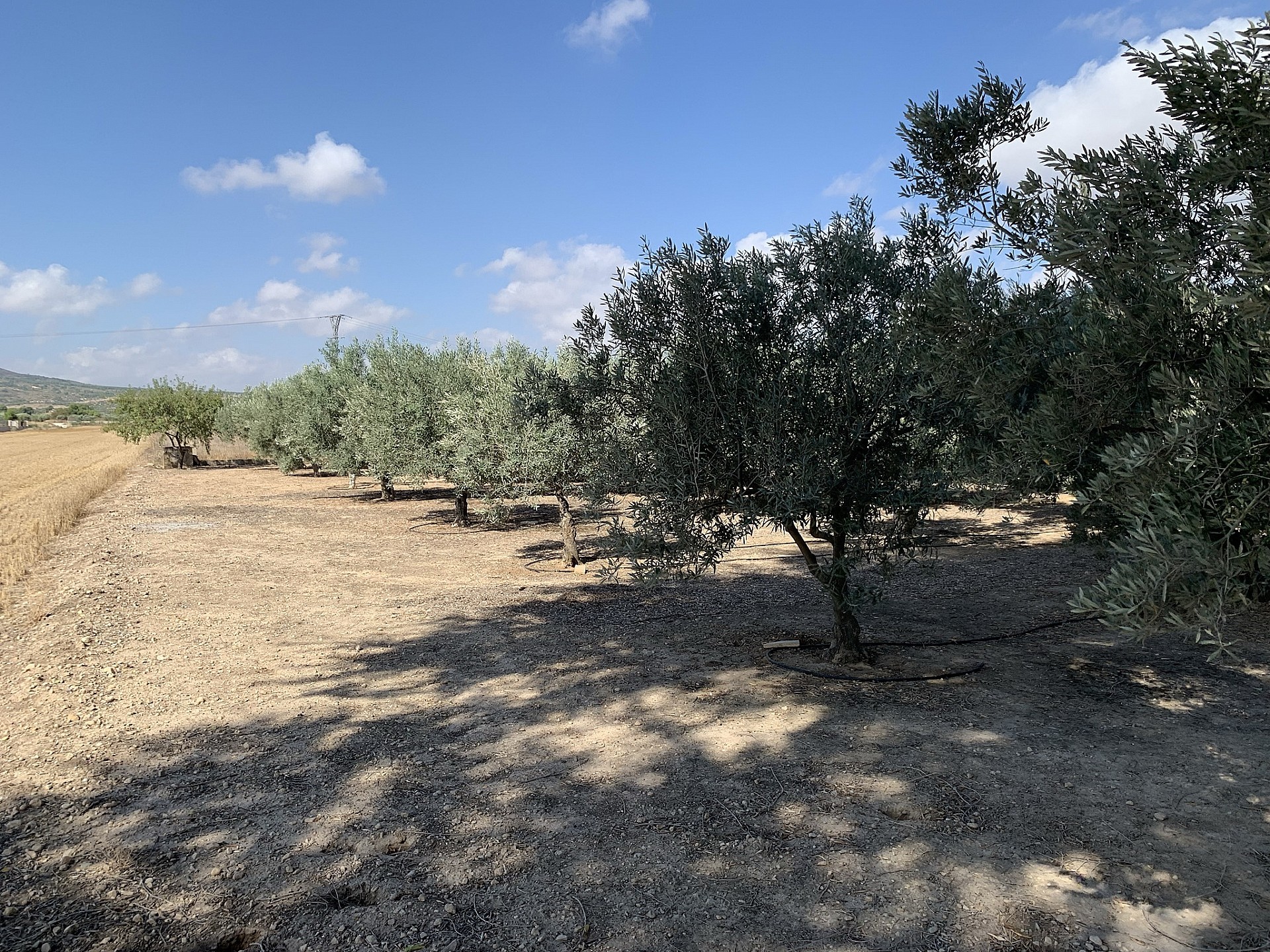 w_kcv4mm6muyxg6xwr3ncp