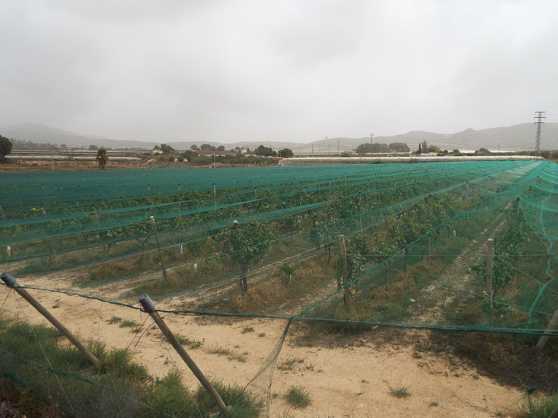 w_ko257q3vvkkybybuqyms