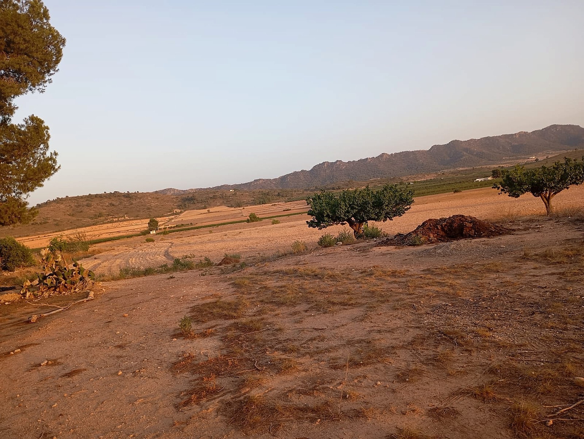 w_kxinoviuyubypxrbvq3x