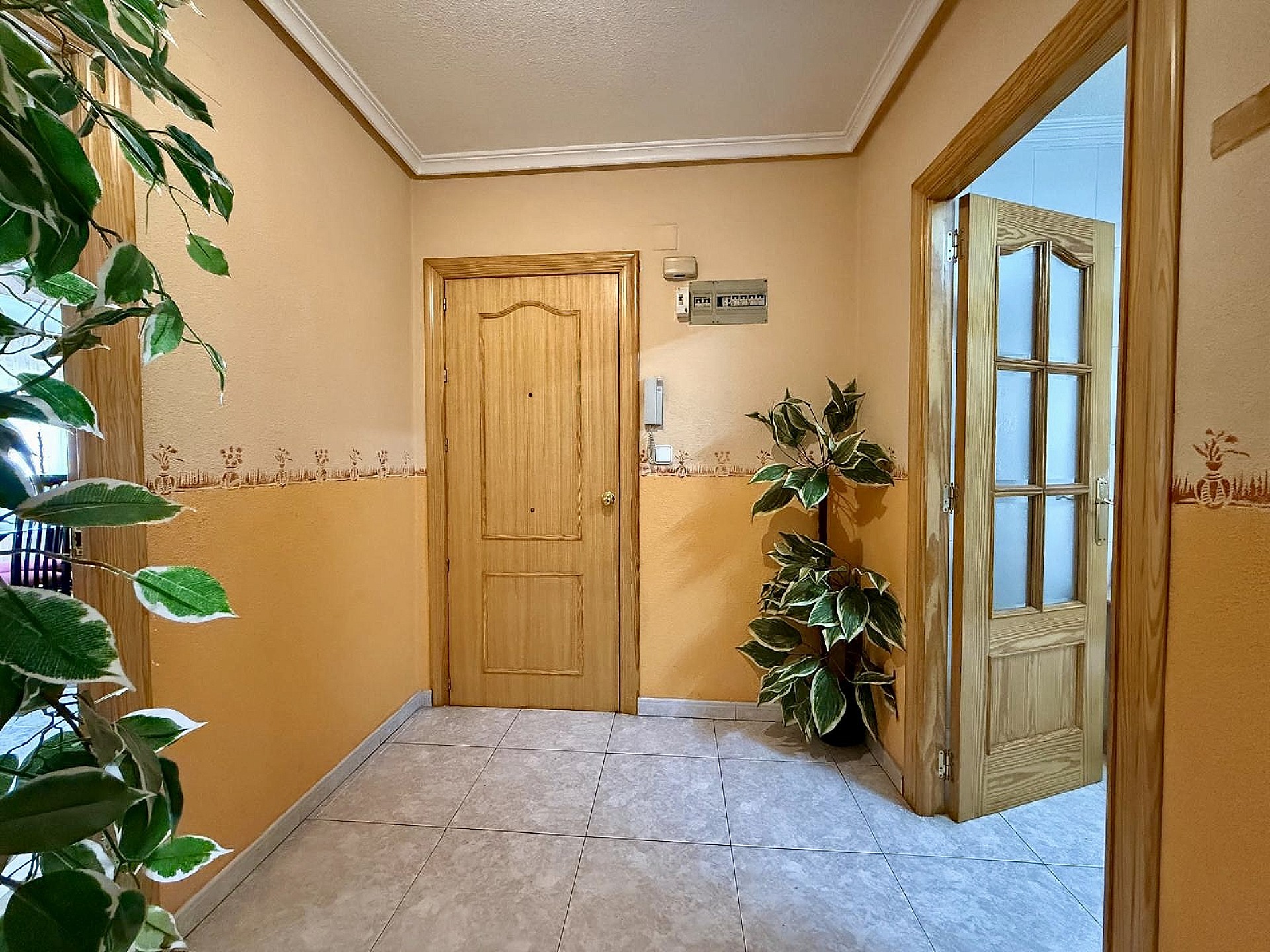 w_mj878g8x5y6m6jbhmmk6