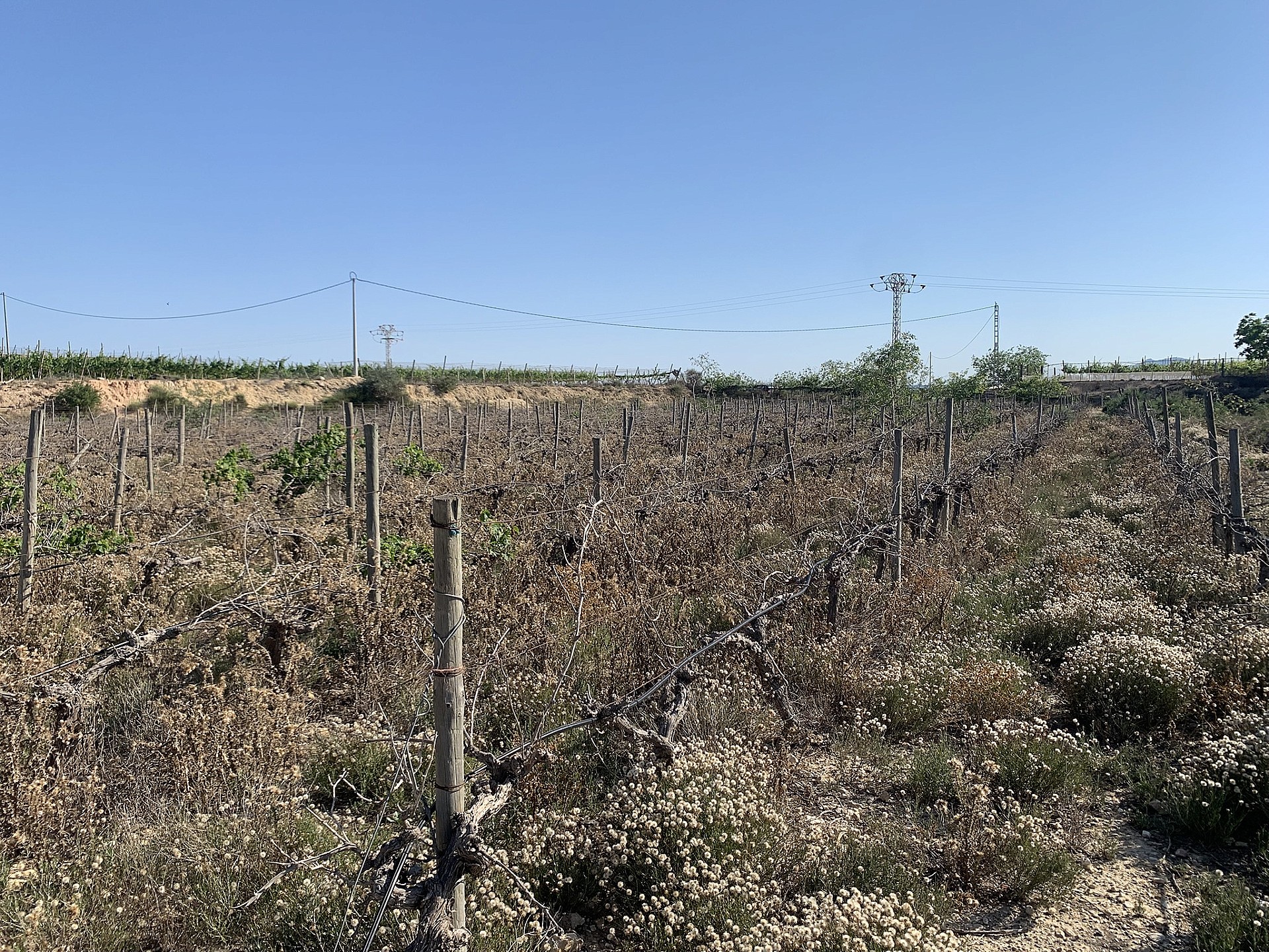 w_mw5pjfxtmzsnkbibwf6f