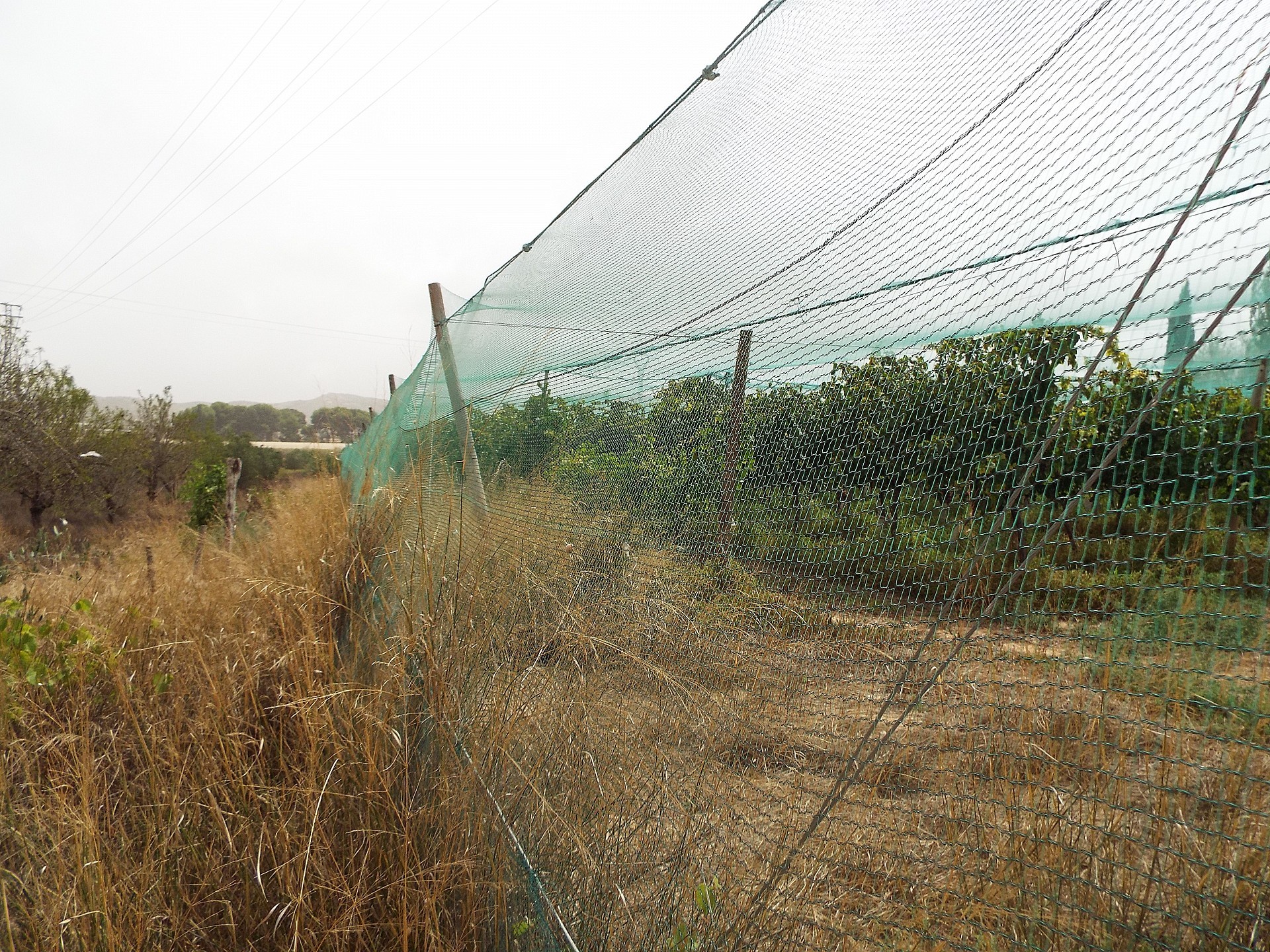 w_n82pqg437ucrbztnrae6