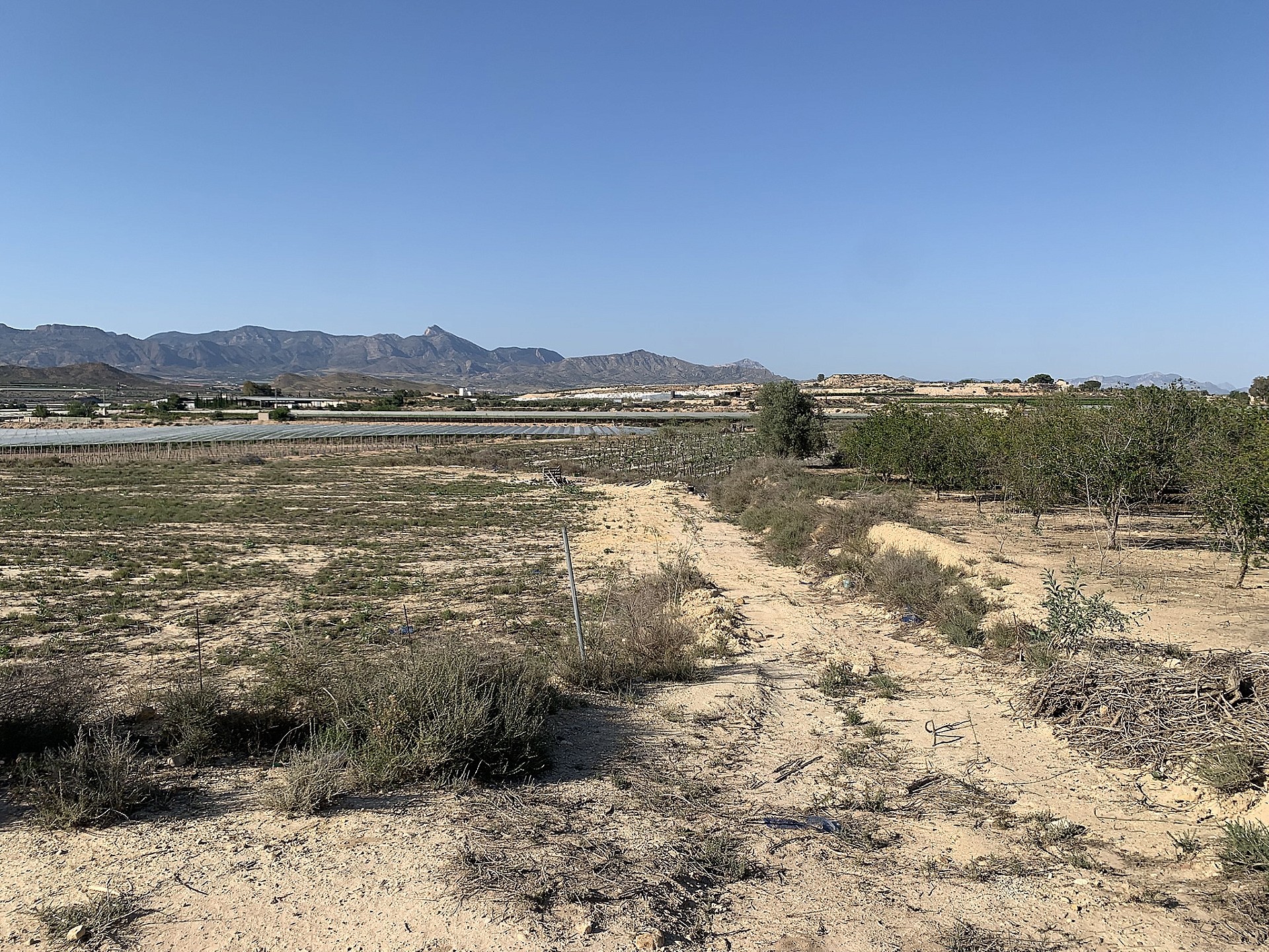 w_ng5xzfj5f4iqj7r7def8