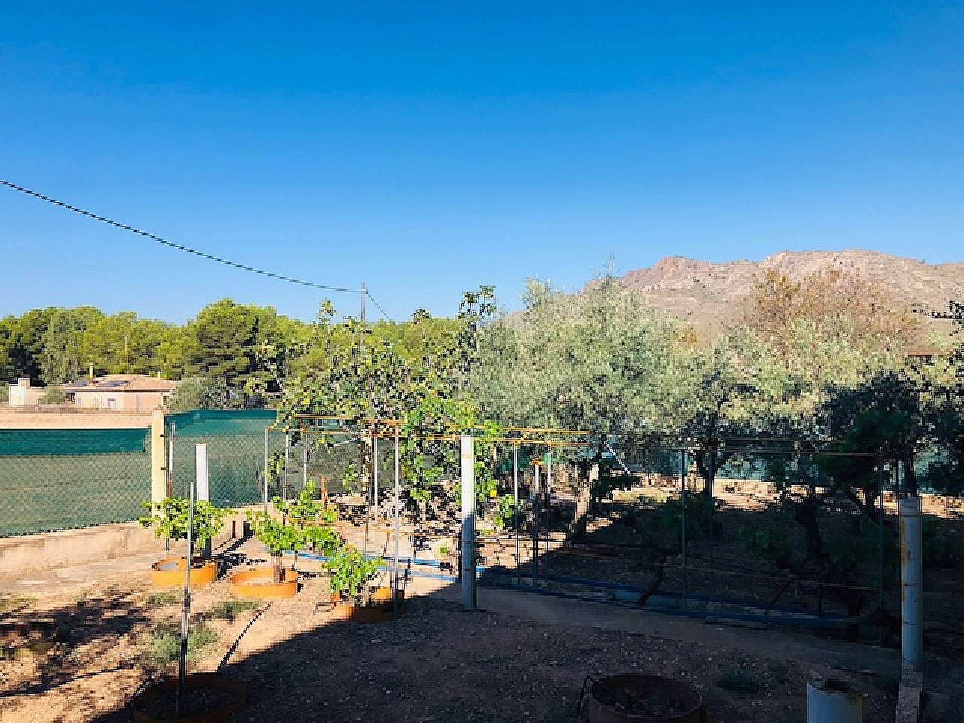 w_nkty8zu0p2ttobgoa4nc