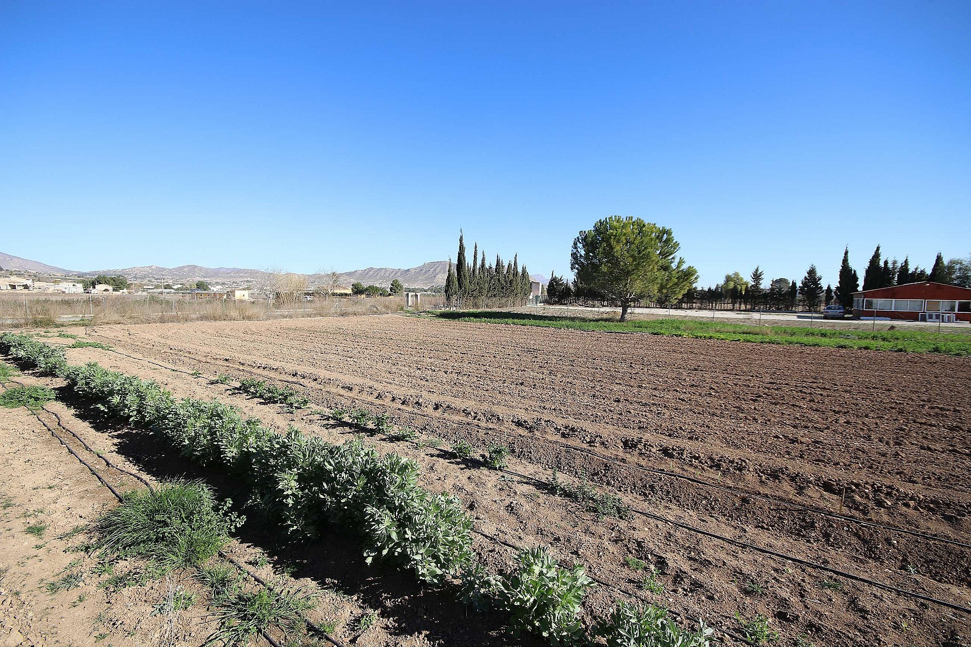 w_npcqh6ic7goxb0eyfpht