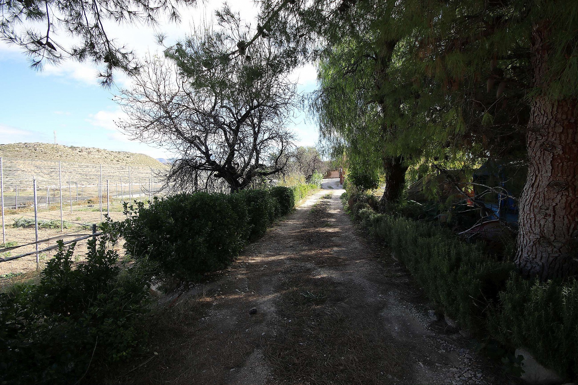 w_nrpsstg07wnkfwbpsa25