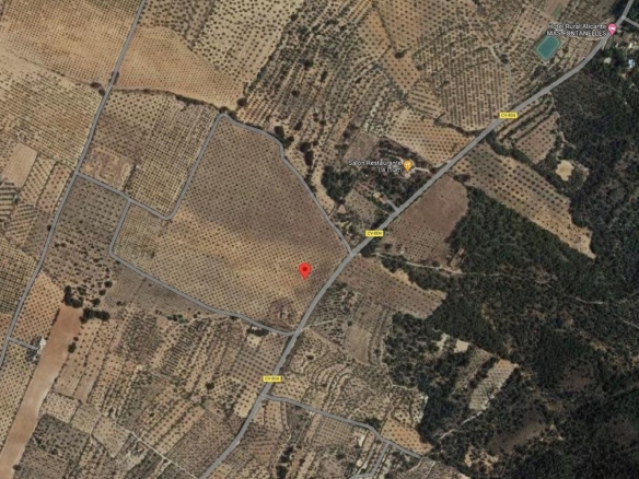 Grundstück in Biar (Alicante)