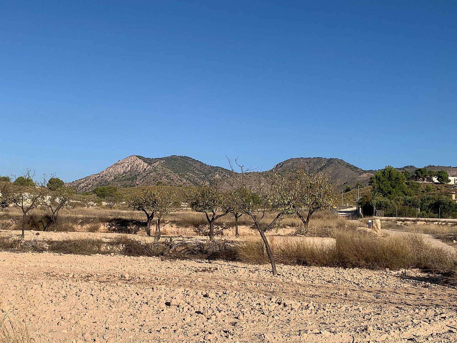 w_nv02bzd25r52wh7dvozn