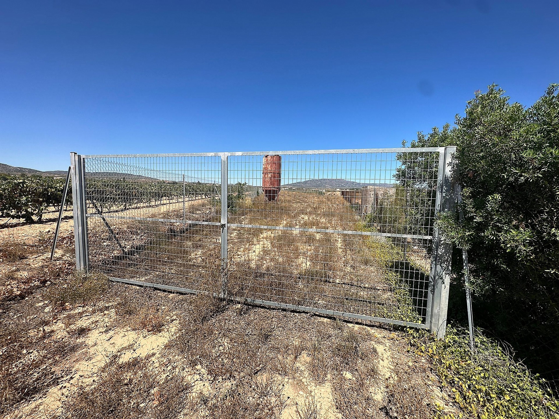 w_o8vyycb6kh0mc6baz6yf