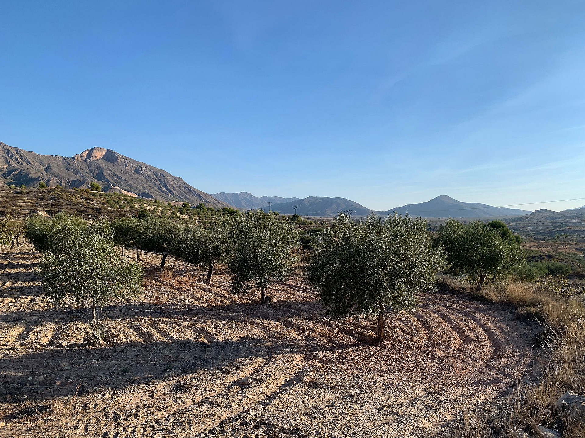 w_okov2n8f7g2t7sof78eg