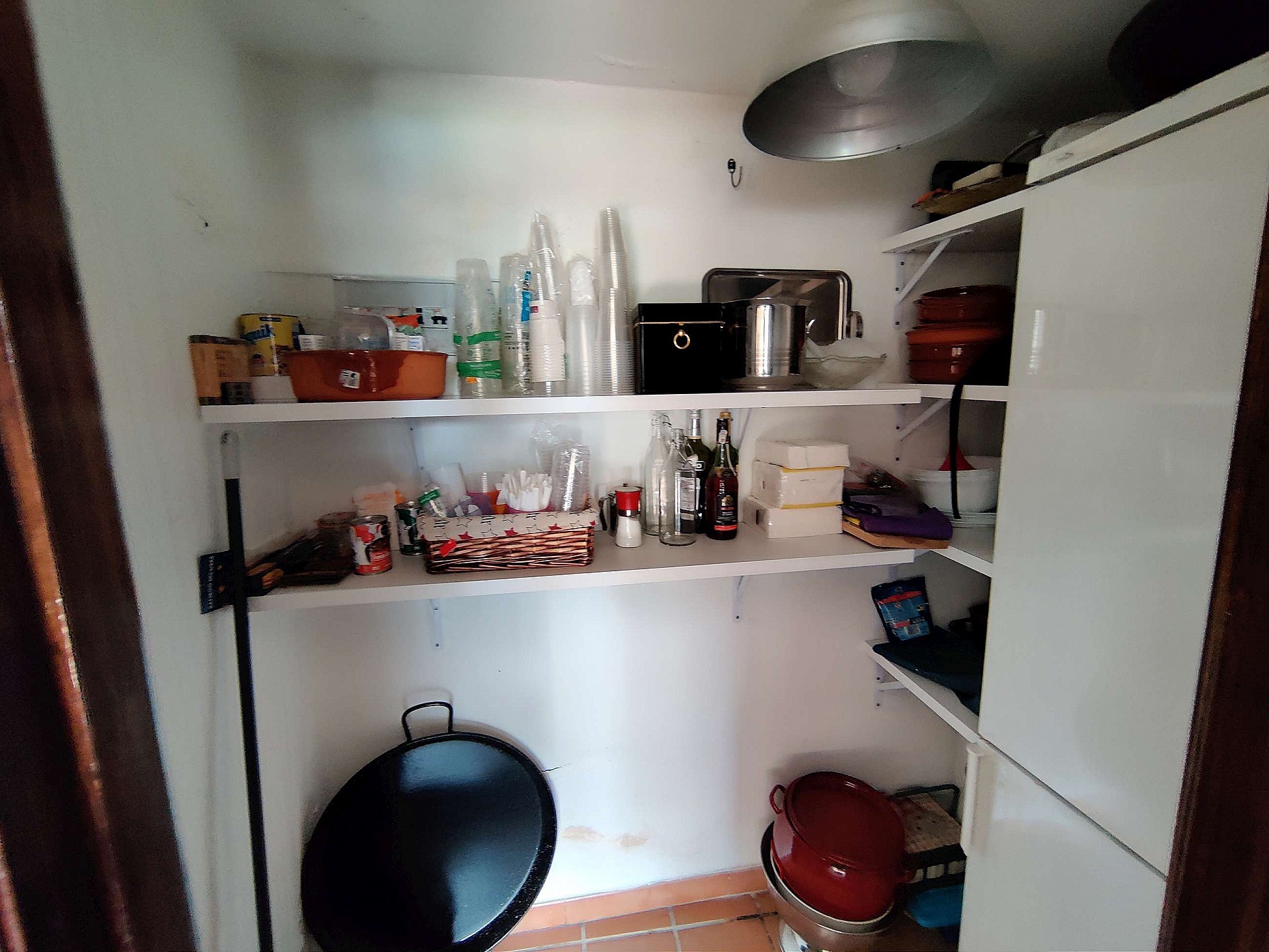 w_omrgm0pa5a4pgodu2odu