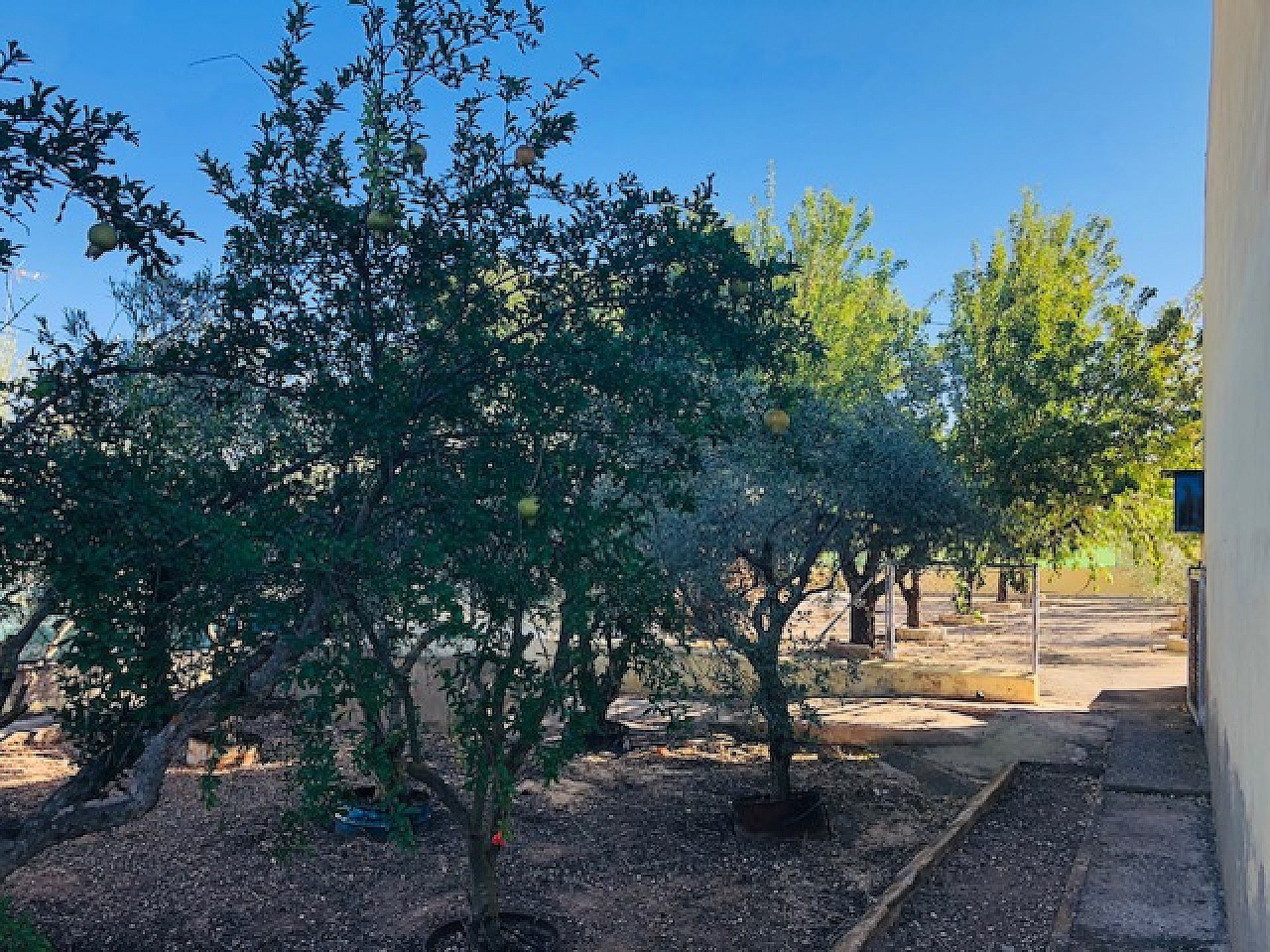 w_onmz7j6be5q3ap3t45va