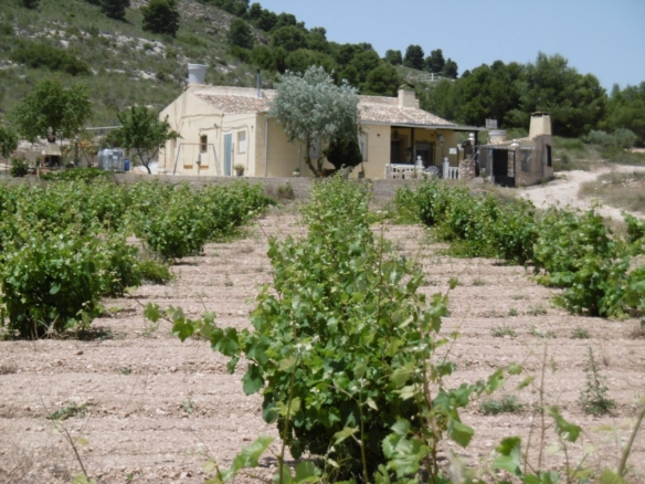 Landhaus in Yecla (Murcia)