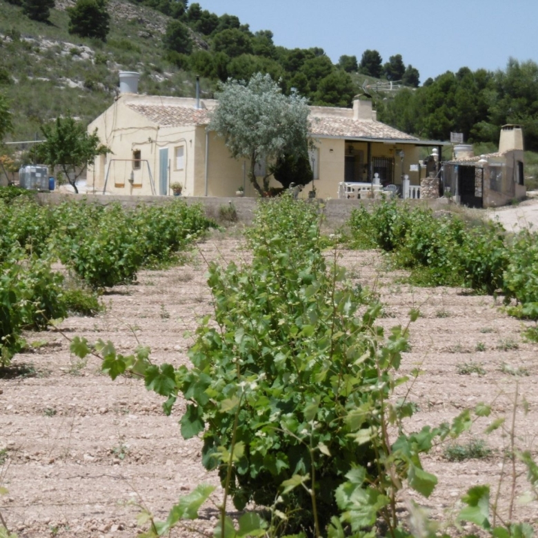 Landhaus in Yecla (Murcia)
