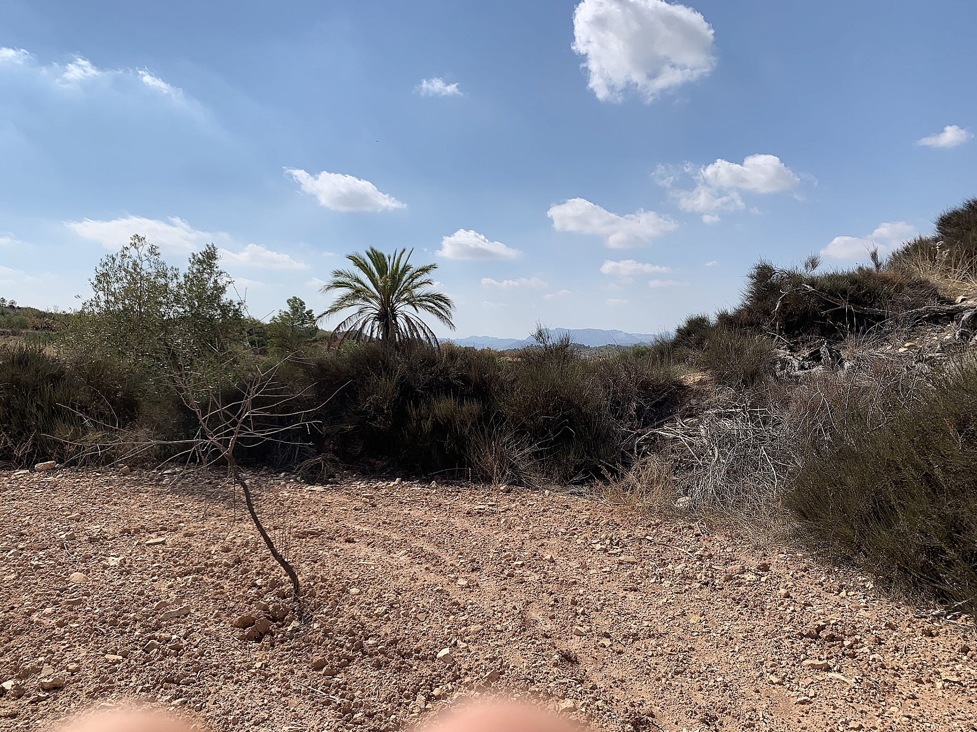 w_p4860iipjompxrxx3cwr