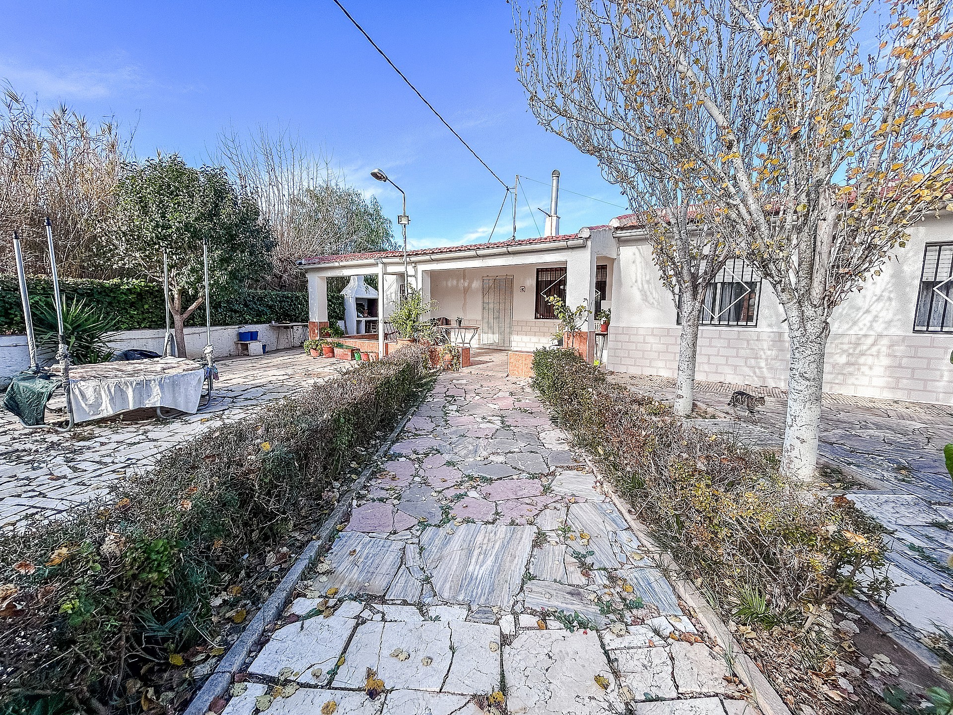 w_pabvfbz24hpr0r6xvx3h