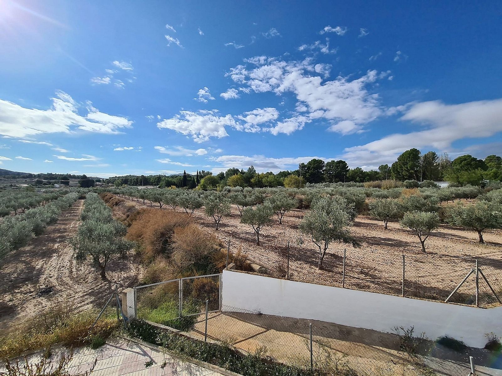 w_pggnmg8apjn77z7kqf47