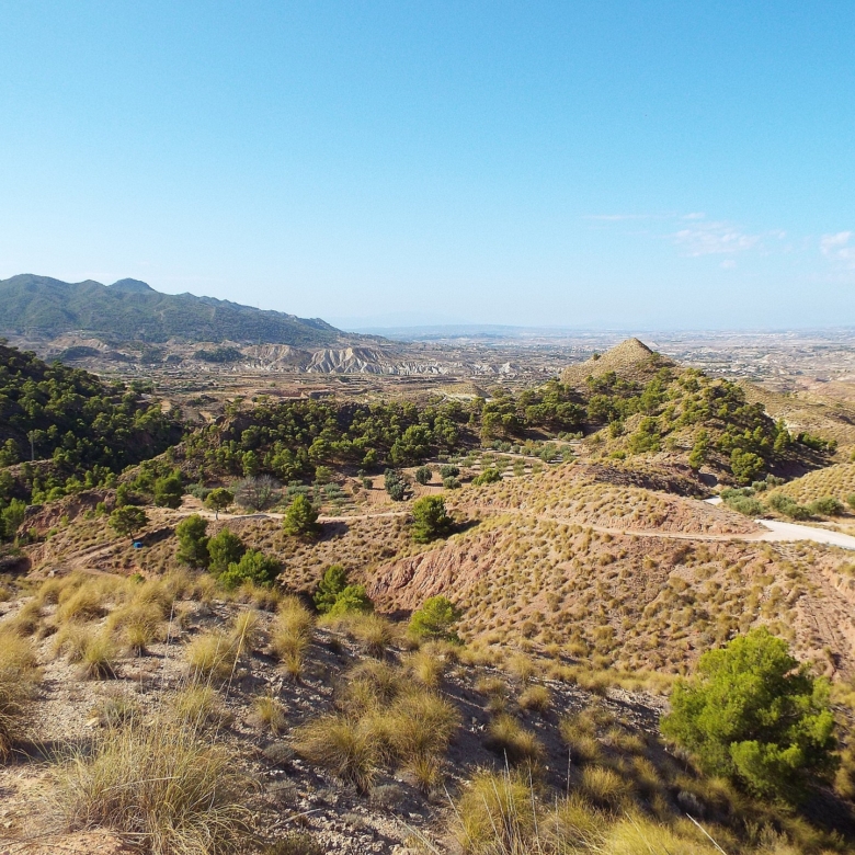 Grundstück in Macisvenda (Murcia)