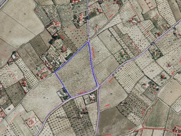 Grundstück in Sax (Alicante)