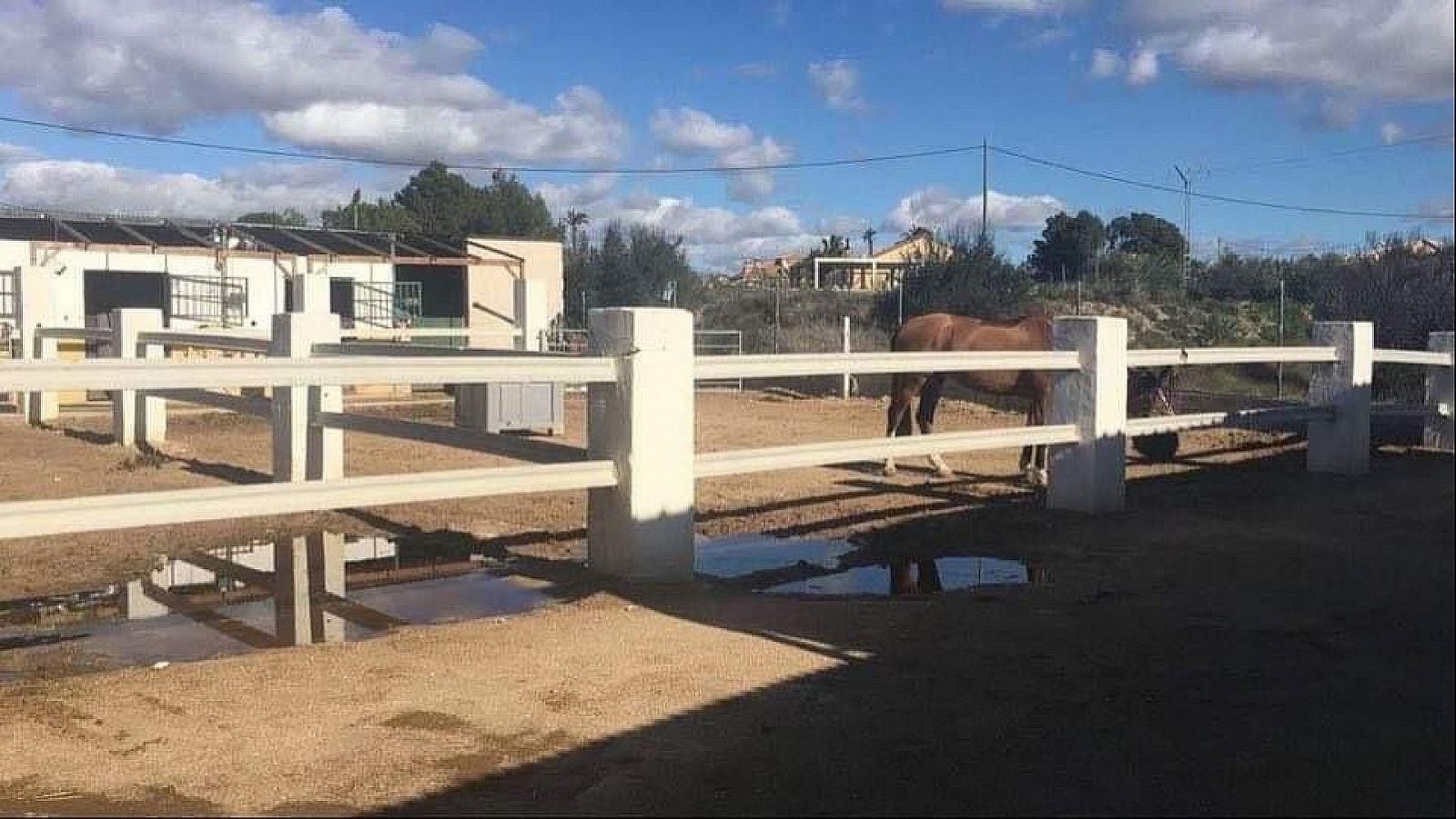 w_potzytov22wiv2jfw7nj