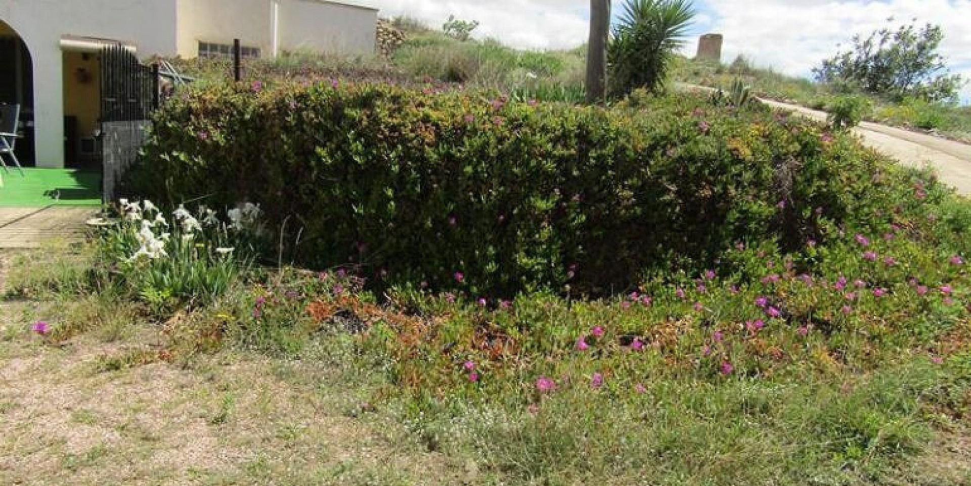 w_pxd06fmo8e3fxueecsku