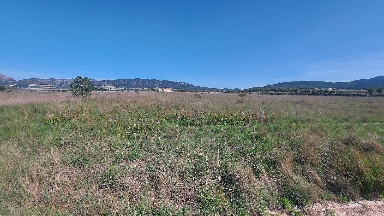 w_qa2uzrekxzvq2mk6fpk7