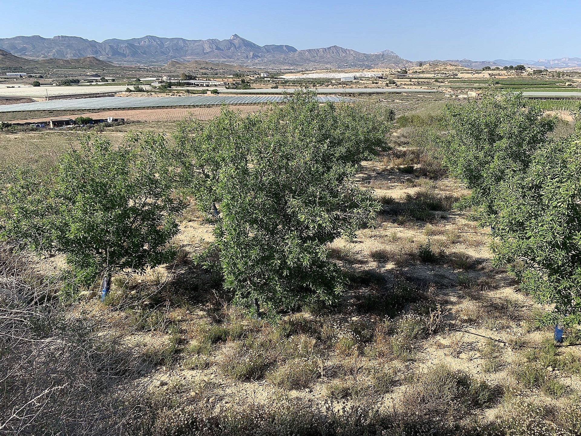 w_qg0e4j2kj2qvnuvh6qd5