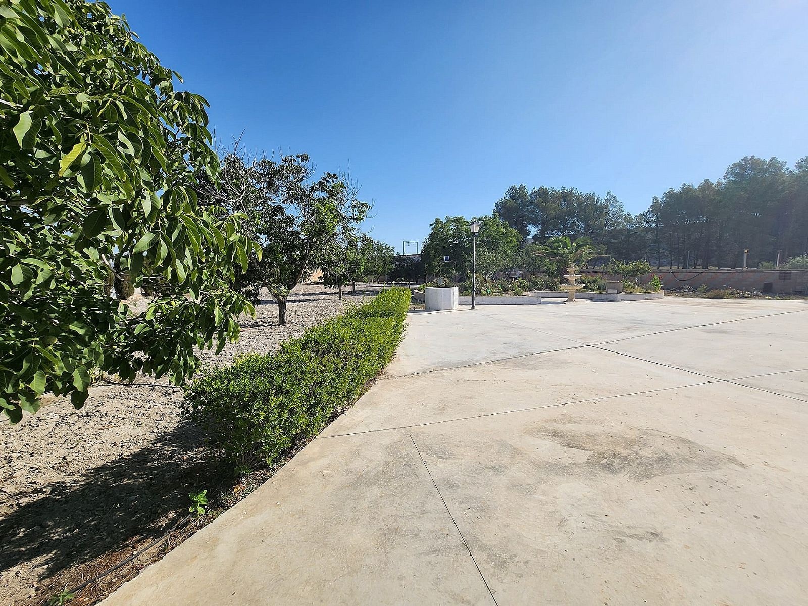 w_qh0hth6rc2op40kmeini