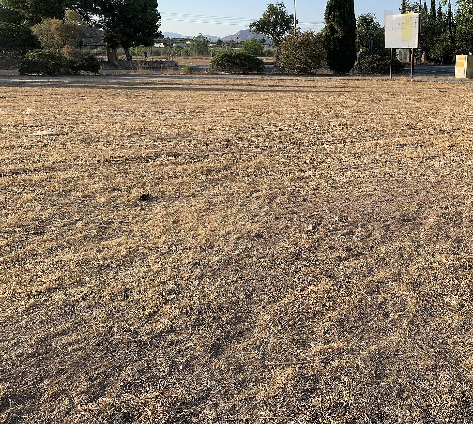 w_qoh77fdnq73ch6ji0bcf