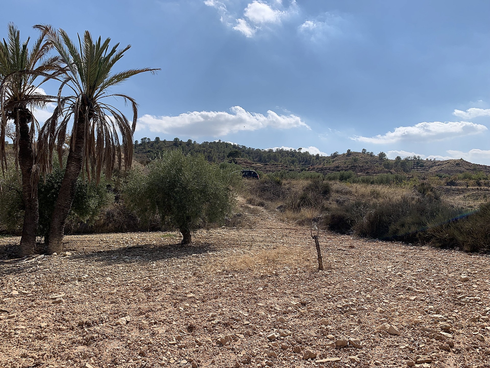 w_qwtan37sqgm6i6m4tus5