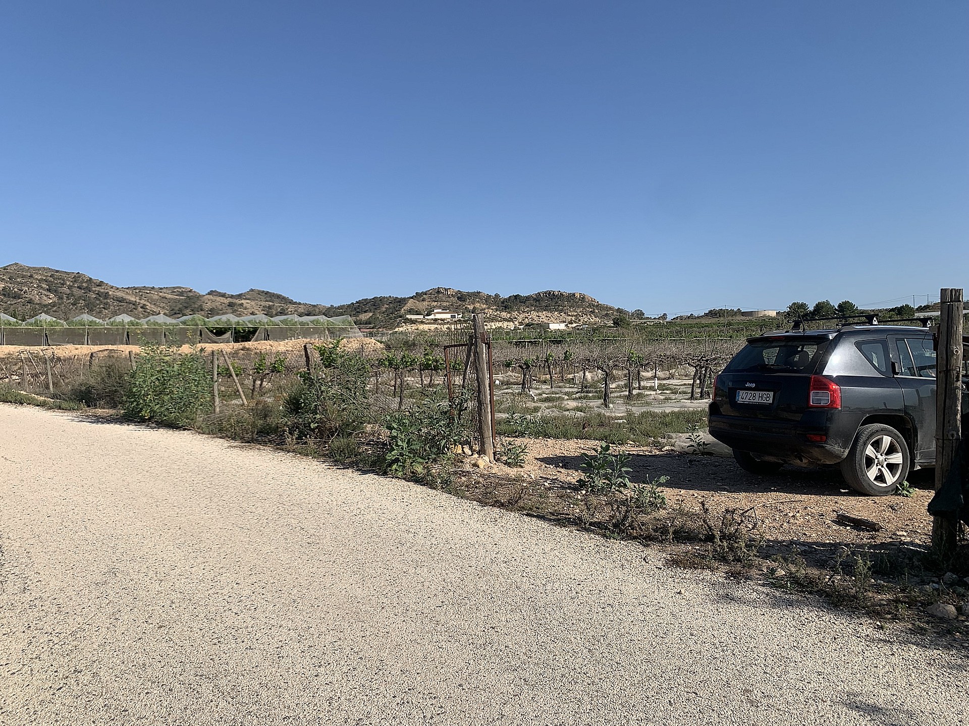 w_ry7rhd5mj5bvhksvbrfj