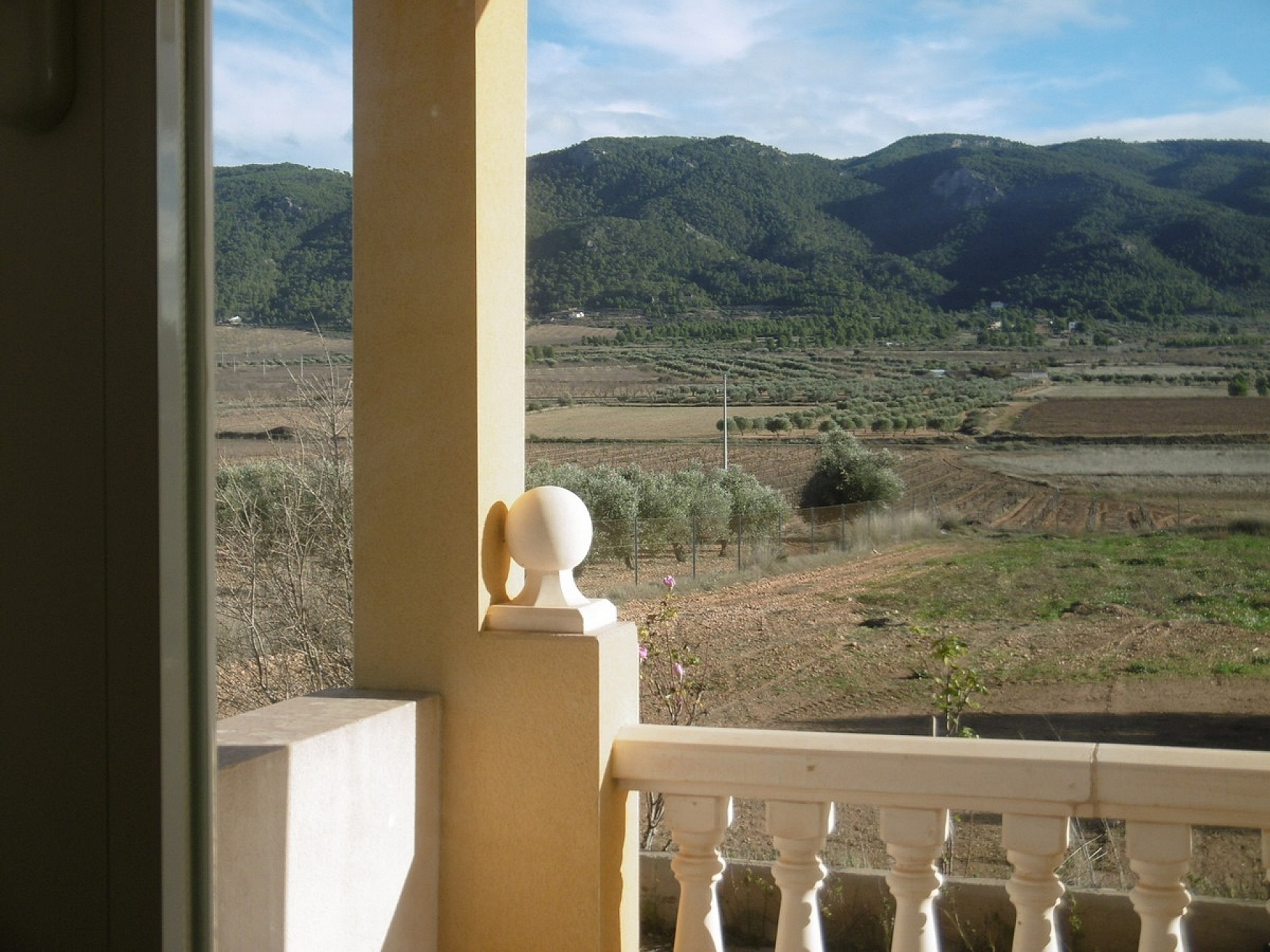 w_ryr63eyedpugna505fzv