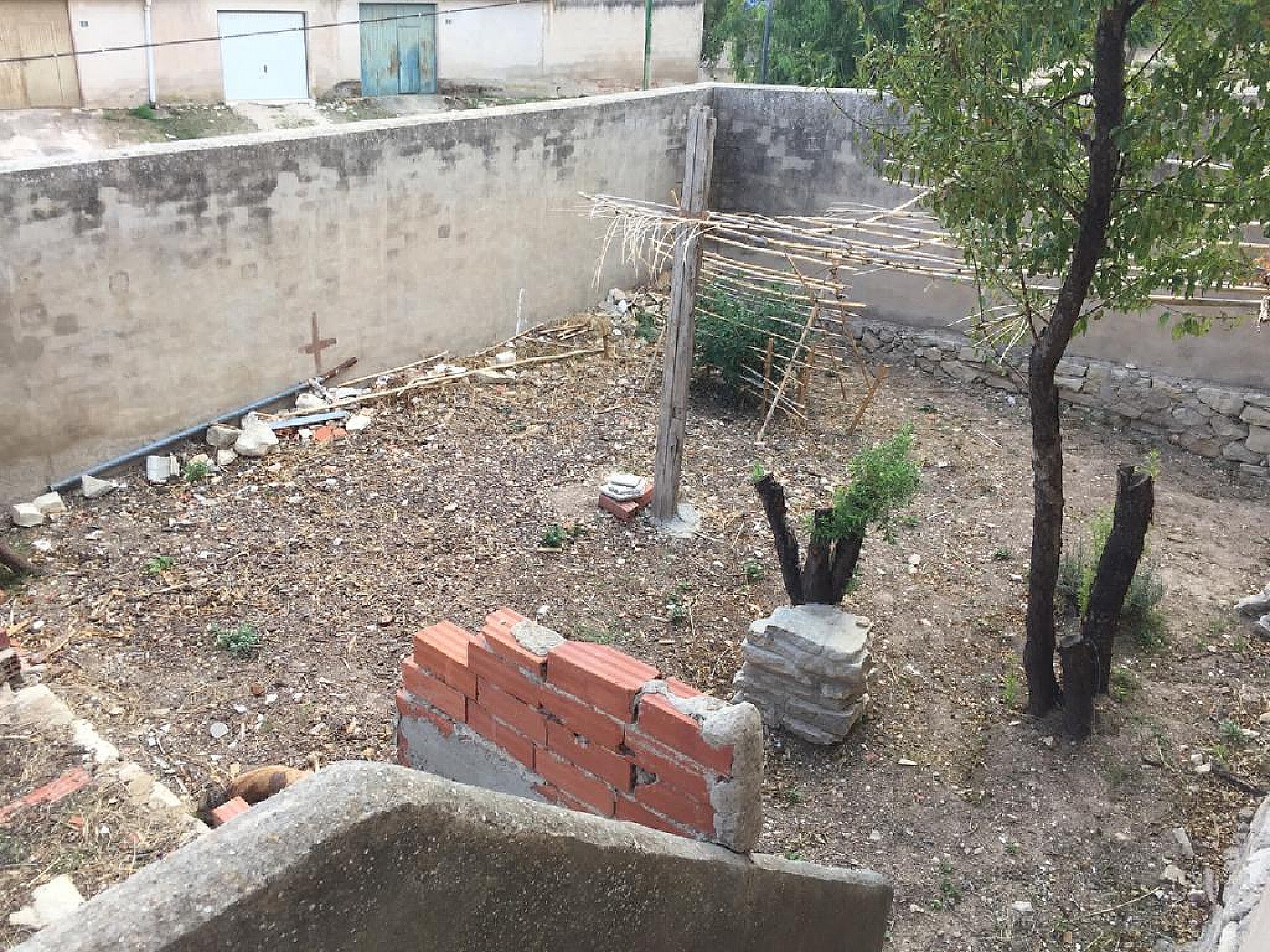 w_smwsfuzxj8p0nrhghc55