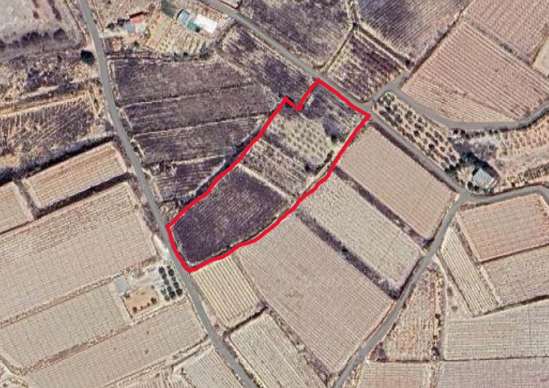 w_swxs70yz5cqvyfzcfxgc