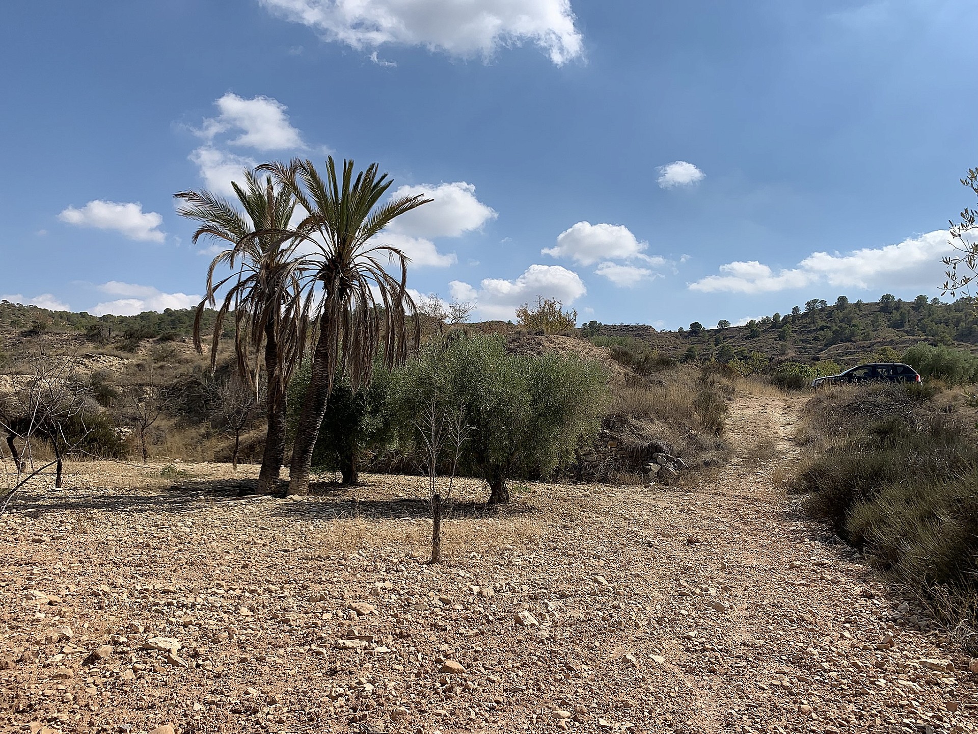 w_tdcm7dp8gzhkwcjcgzxa