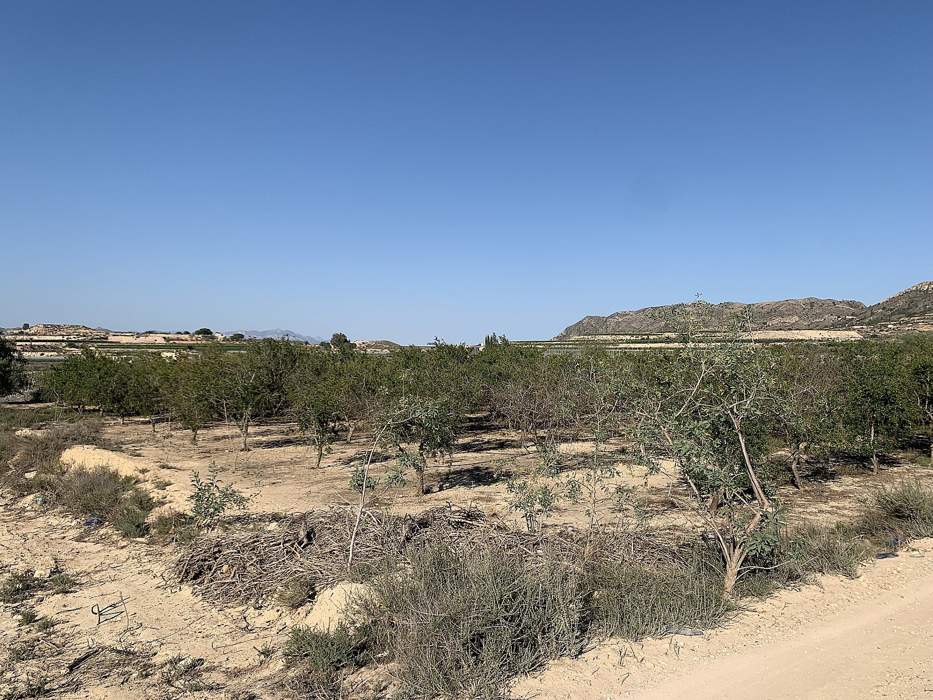 w_tgcssxthe4son7m2vrmg