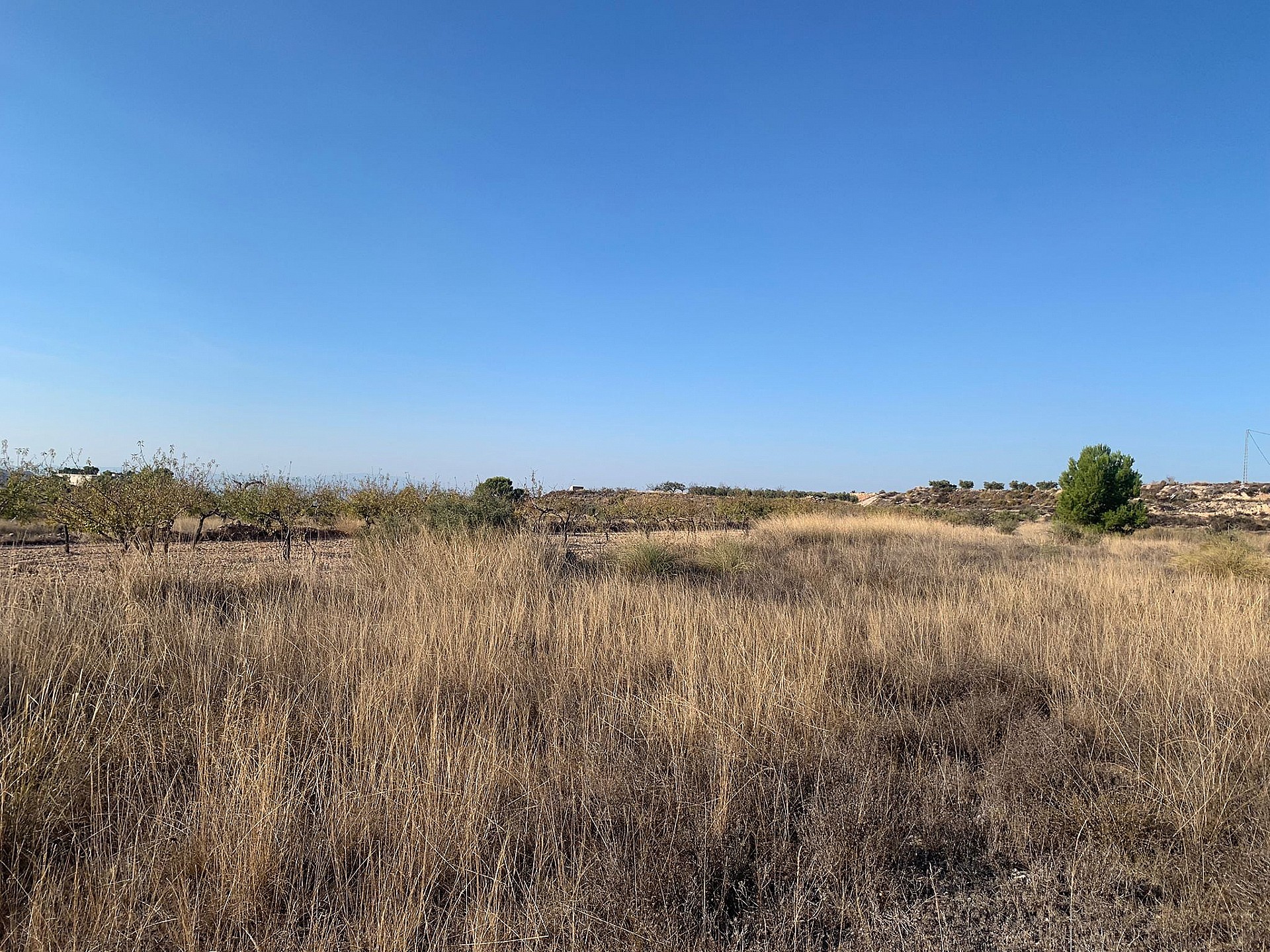 w_tgm7f7i58jbtxn7cz4gu