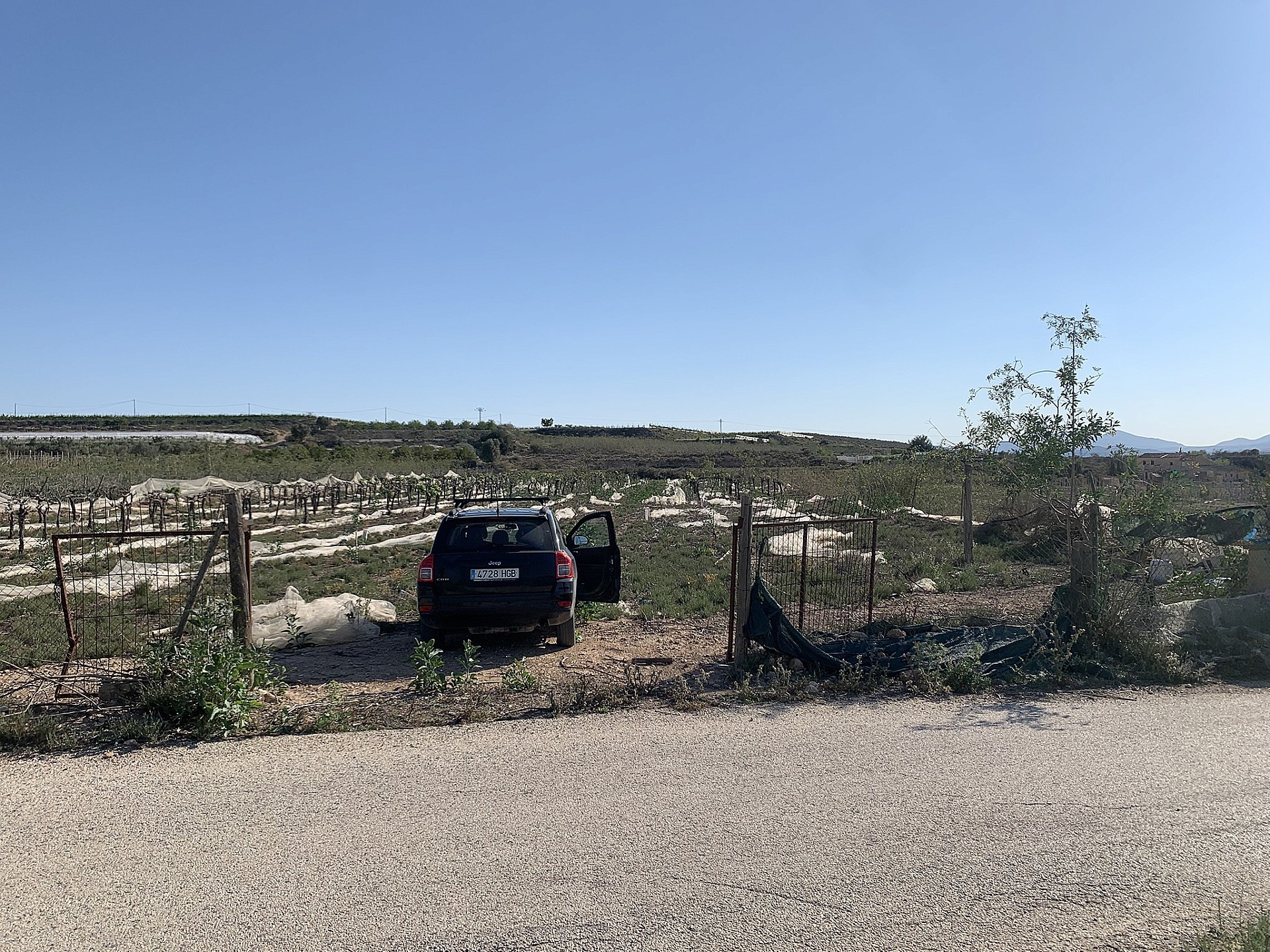 w_tgr47qwh8xnwn6f48paz