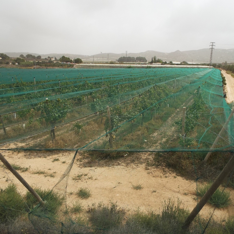 Grundstück in Monforte Del Cid (Alicante)