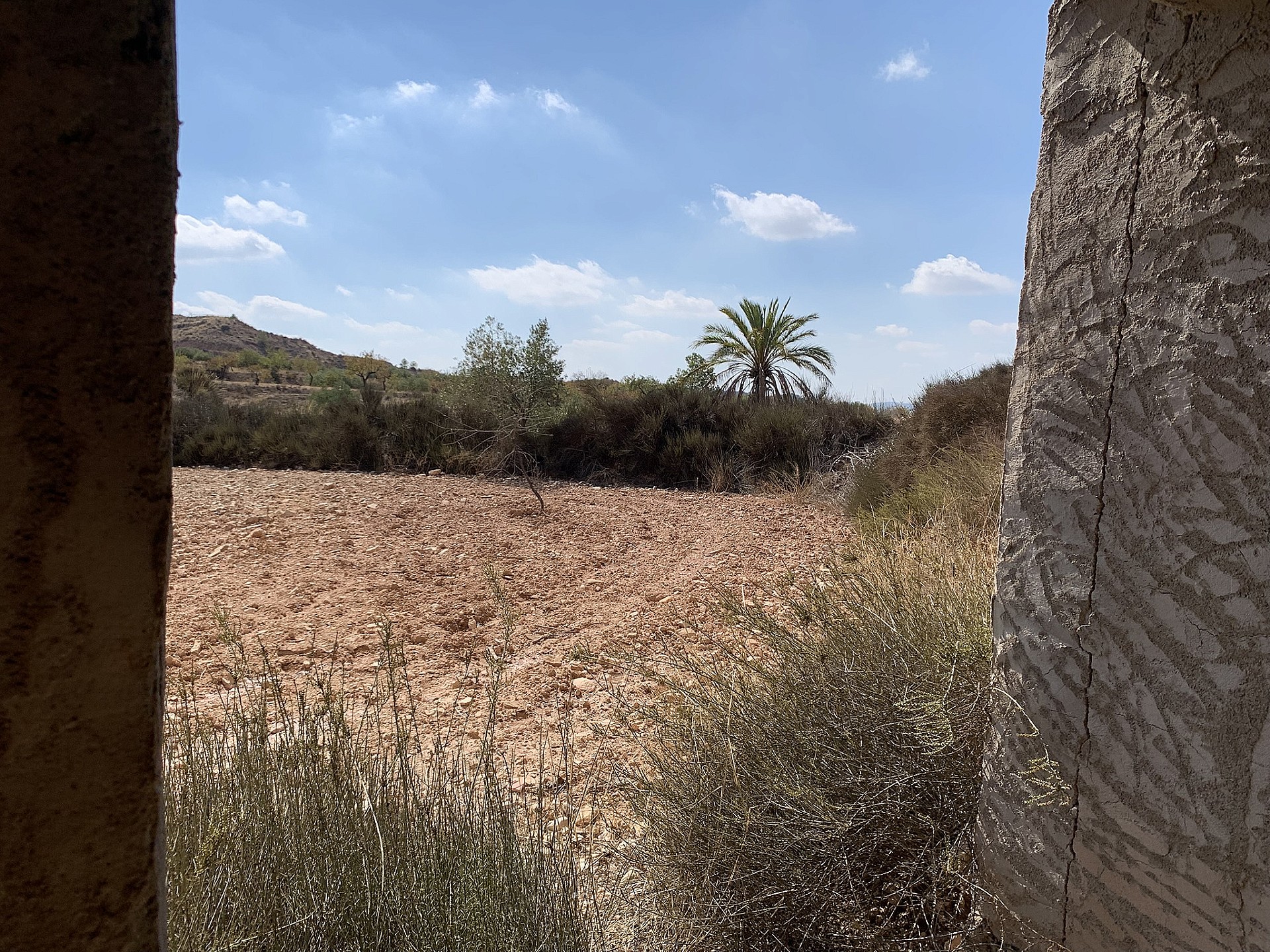 w_twh0g0y3xjvea0wj6fsc